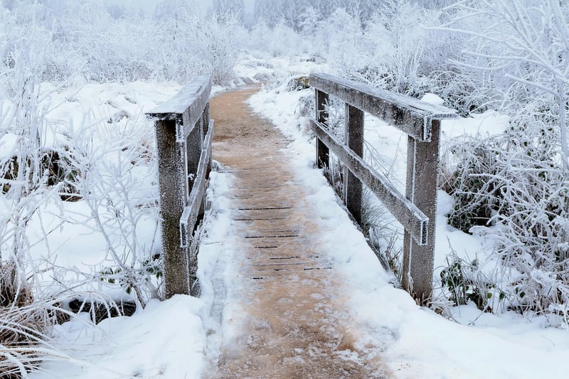 Garden Pathway